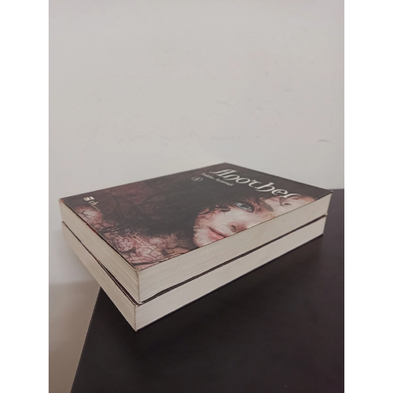 Another (Bộ 2 Tập) (2016) - Yukito Ayatsuji Mới 90% HCM.ASB0203 913245