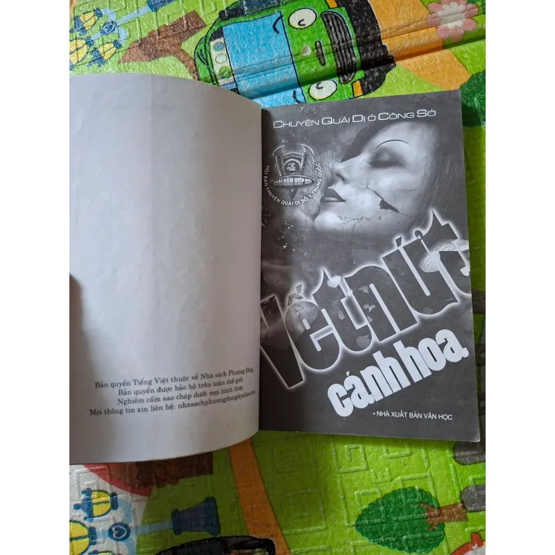 Vết Nứt Cánh Hoa 957911