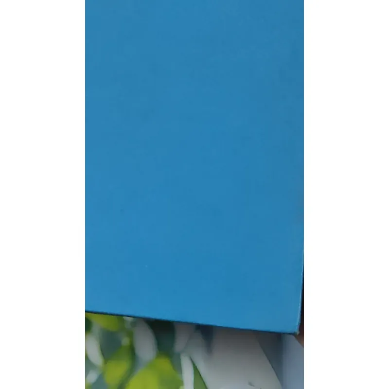 [MIỄN PHÍ BỌC SÁCH] [XƯA] Dorrie And The Wizzard's Spell (1968) 990508