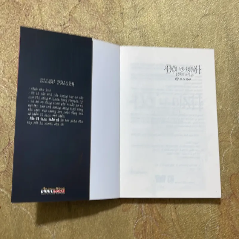 ĐỘI VỆ BINH BIỂN CẢ ( full 3 tập)- ELLEN PRAGER 688312