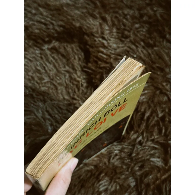 Lạc lối về 698386