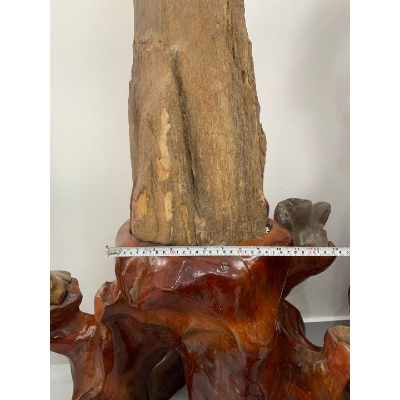 Gỗ hóa thạch phong thủy 22596