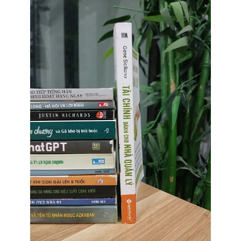 Tài chính dành cho nhà quản lý – Gene Siciliano 570851