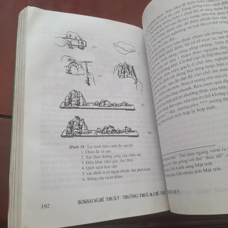 BONSAI Cây dáng, thế và Non bộ 751882
