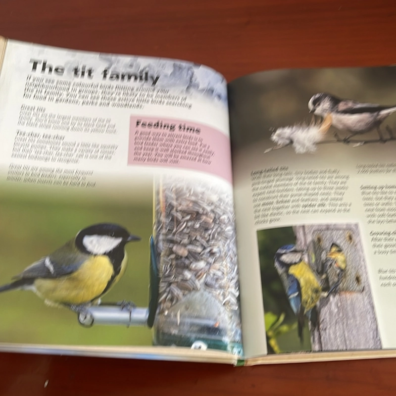 PICTURE BOOK British birds 534316