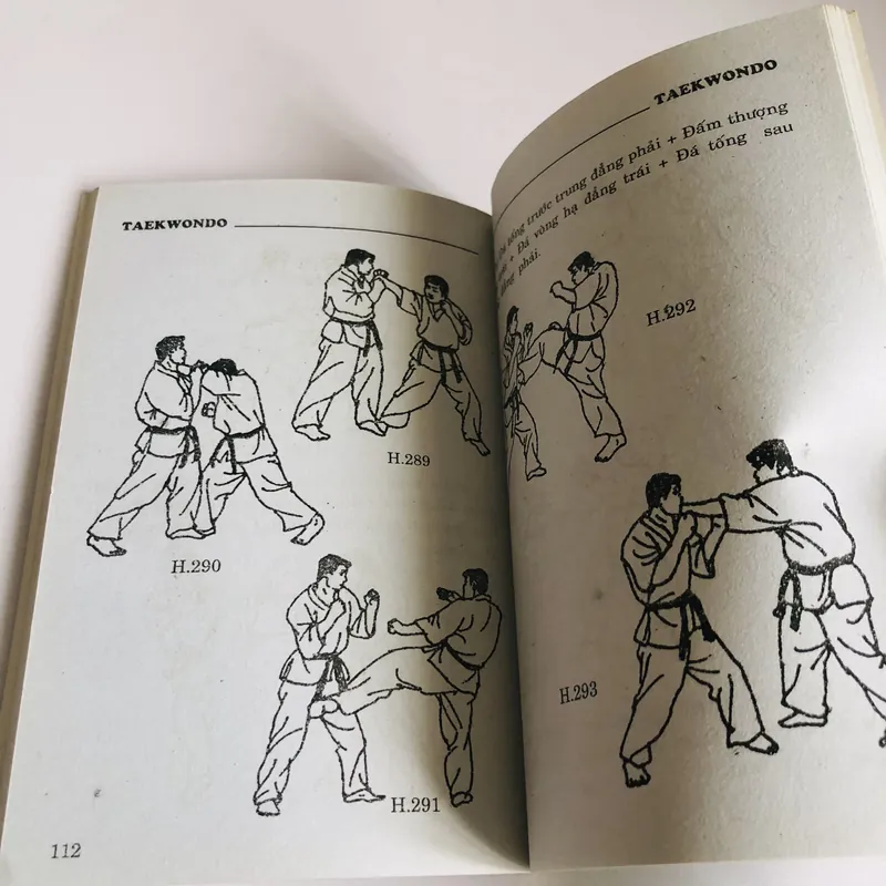 TỰ LUYỆN TUYỆT CHIÊU TAEKWONDO CHIẾN ĐẤU VÀ TỰ VỆ 697861