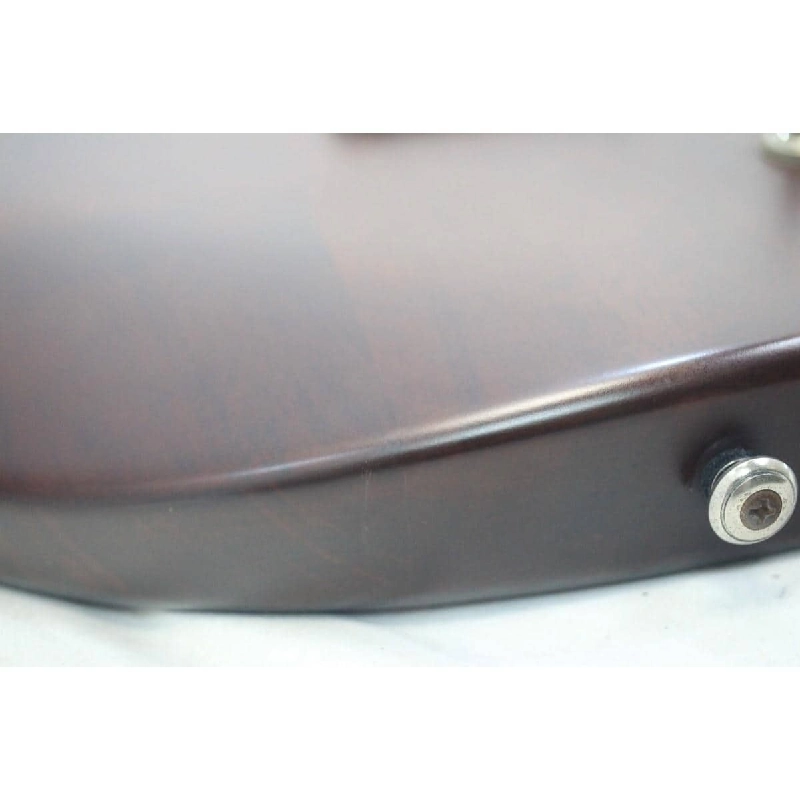 ＰＡＵＬ ＲＥＥＤ ＳＭＩＴＨ ＳＥ ＳＴＡＮＤＡＲＤ ２２ - Hàng hiệu Authentic 876526