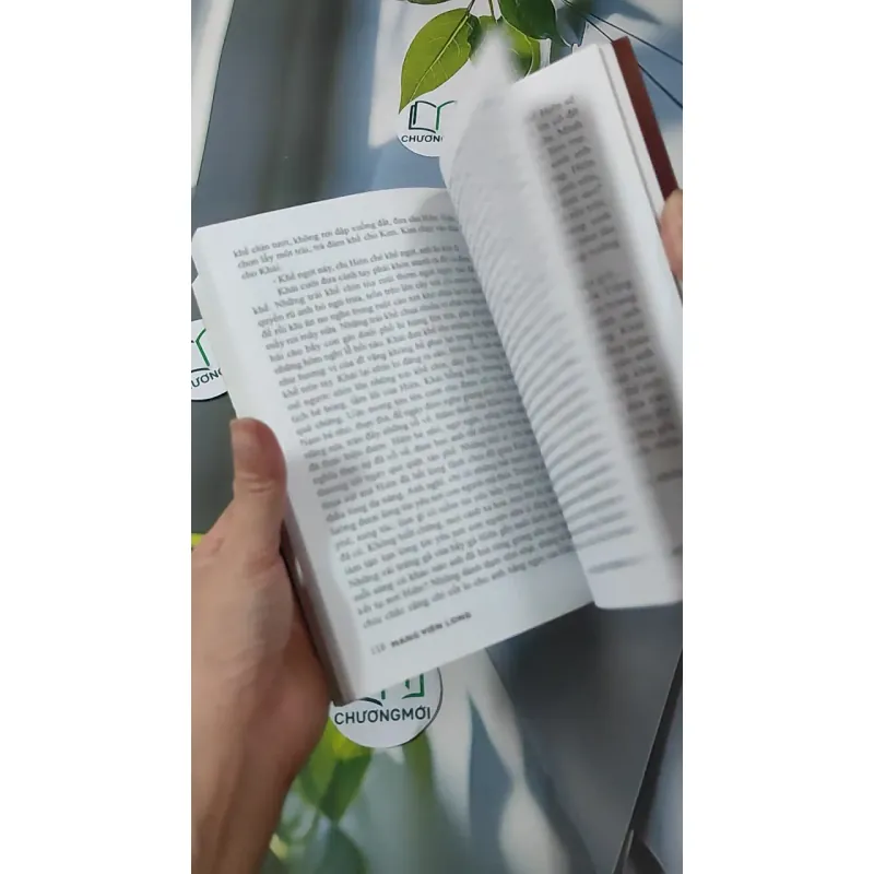 Mùa Xuân Ở Trên Cao - Mang Viên Long 928593