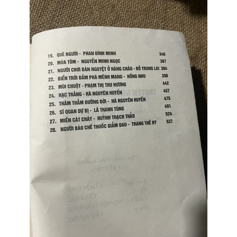 Truyện ngắn hay 1998-2000, Thanh Hoá, Dương Thu Hương  598946