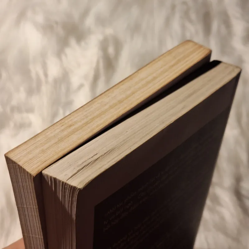 Paul Auster - Nhạc đời may rủi 779856