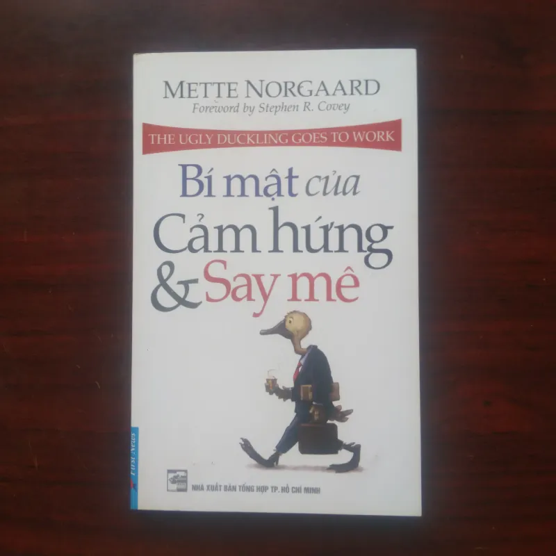 Bí Mật Của Cảm Hứng & Say Mê - Mette Norgaard [Sách Self-help] 1029891