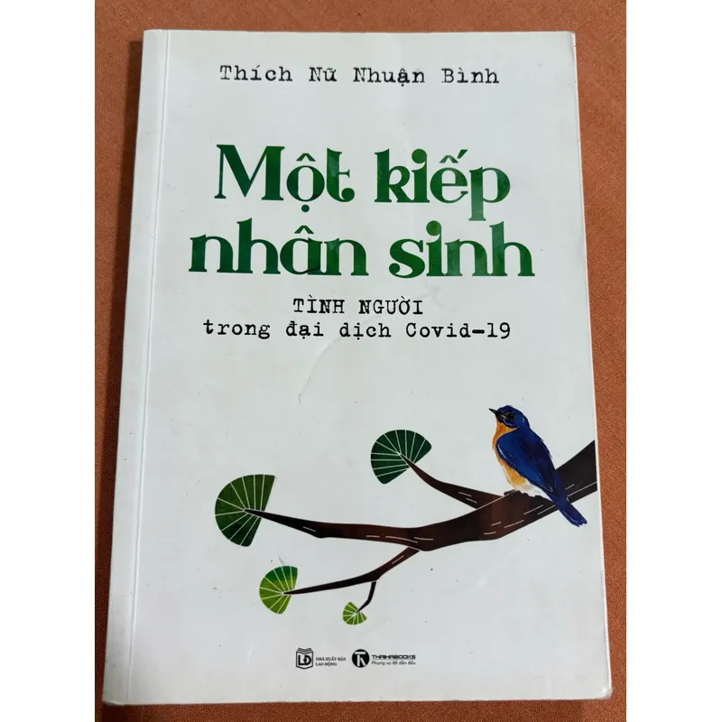 Một kiếp nhân sinh 🌊 594998