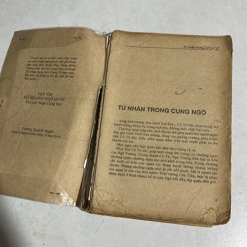 Tây Thi - Nữ hoàng Ngô quốc - 1989s 595595