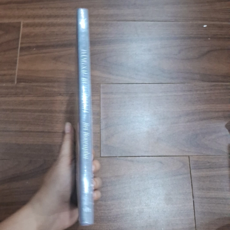 Đằng sau bức tranh 506167