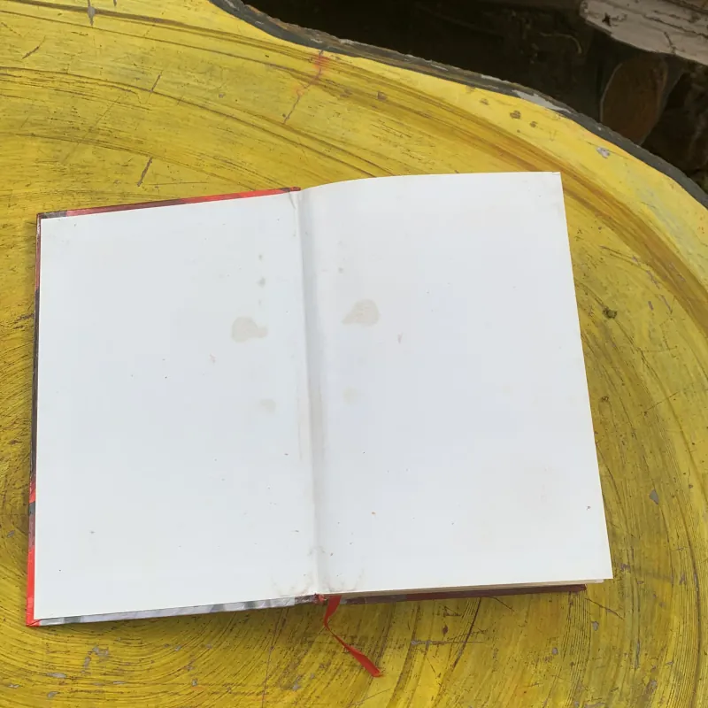 TỔNG TẬP ĐẠI TƯỚNG NGUYỄN CHÍ THANH ( hai cuốn)- nhiều tác giả  784181