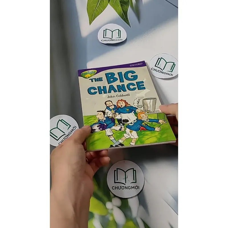 Oxford Reading Tree - Stage 11: TreeTops More Stories A: The Big Chance 703070