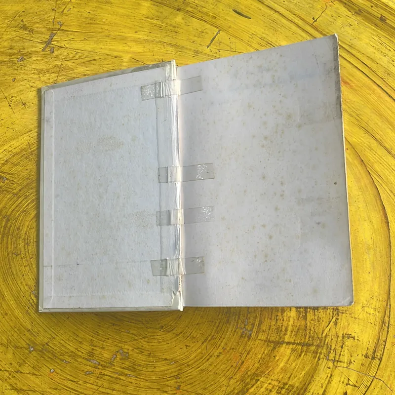 DICTIONNAIRE DES SYNONYMES- LES DICOS D’OR 697196