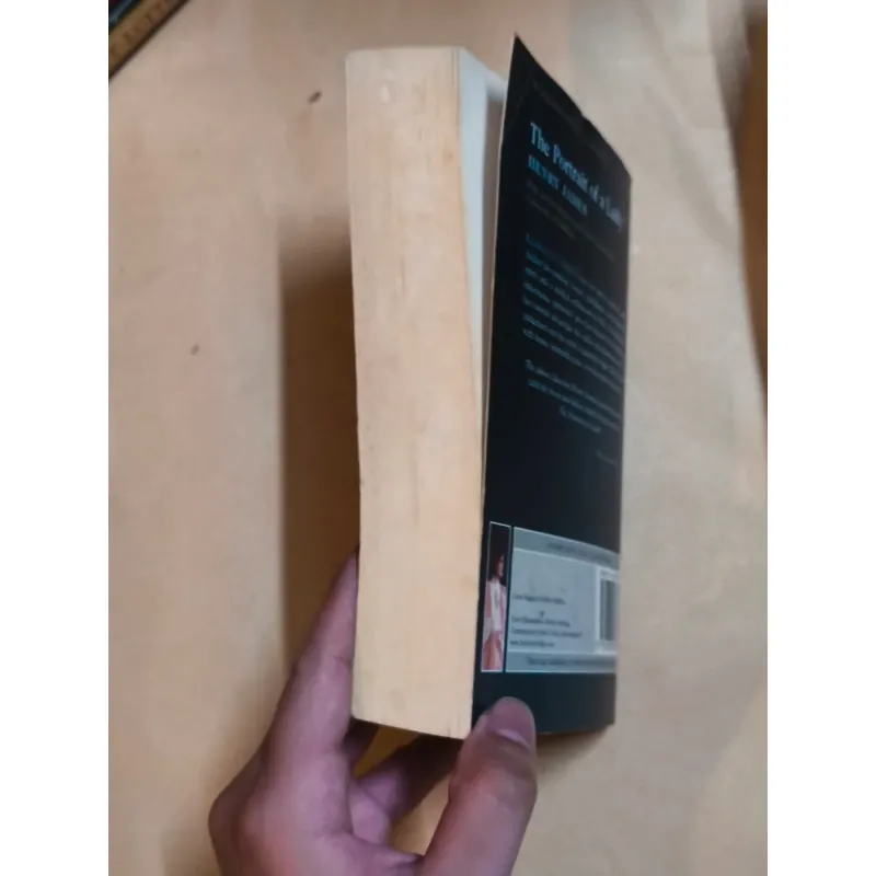 The Portrait Of A Lady - Henry James 999197