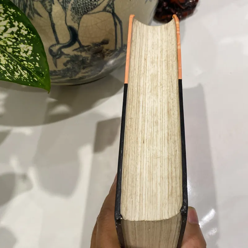 TRÍ TUỆ UNG CHÍNH, bản bìa cứng (XB 2003) 974533