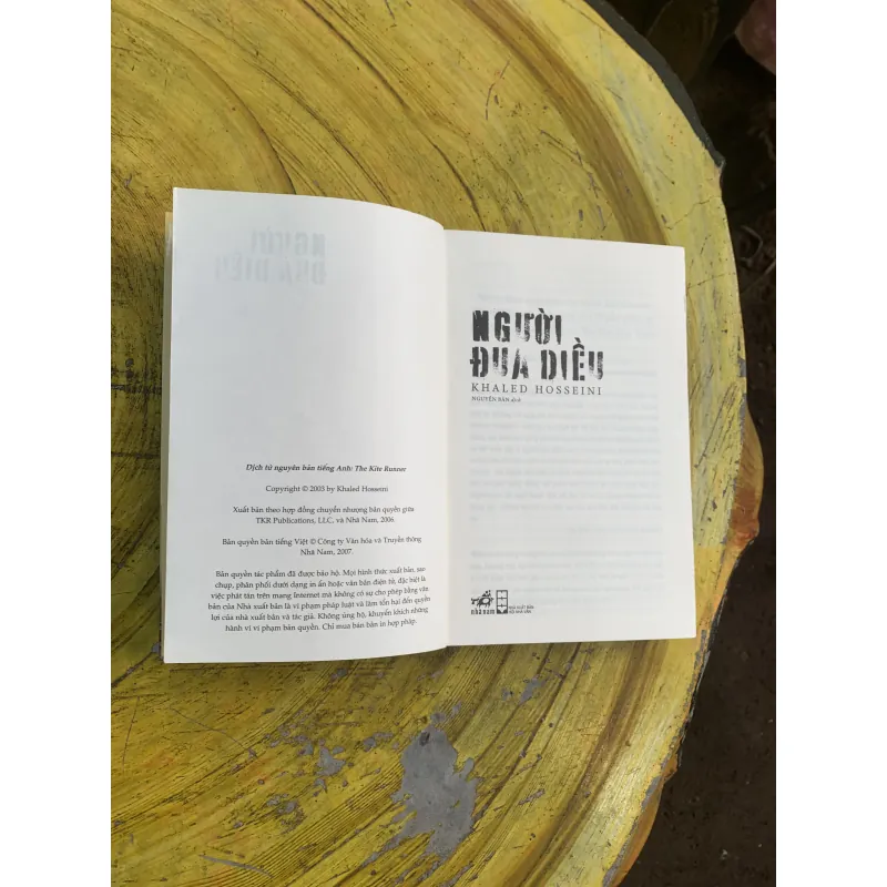 COMBO NGƯỜI ĐUA DIỀU & NGÀN MẶT TRỜI RỰC RỠ 745813