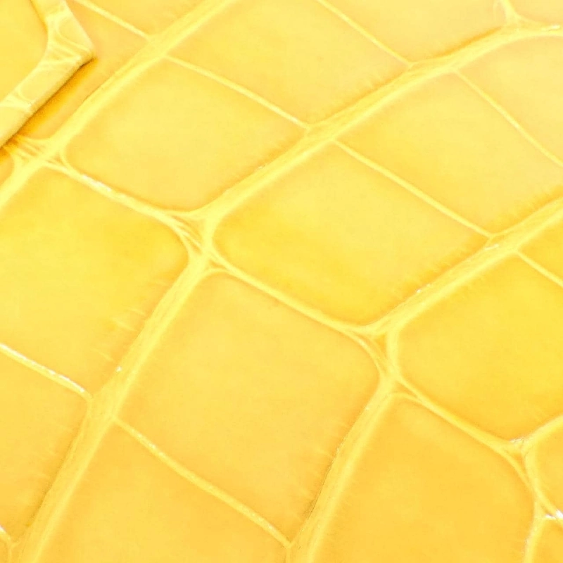 Túi xách Louis Vuitton Exotic Leather Capucines MINI N93164 619617