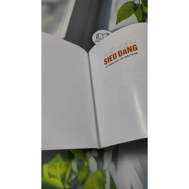 Thiếu Niên Siêu Đẳng - Kỹ Năng Học Tập Siêu Phàm 727314