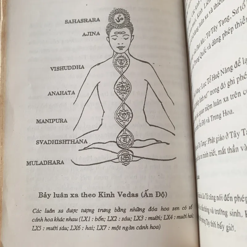 Nhân điện những phát hiện và ứng dụng, Nguyễn Đình Phư 703684