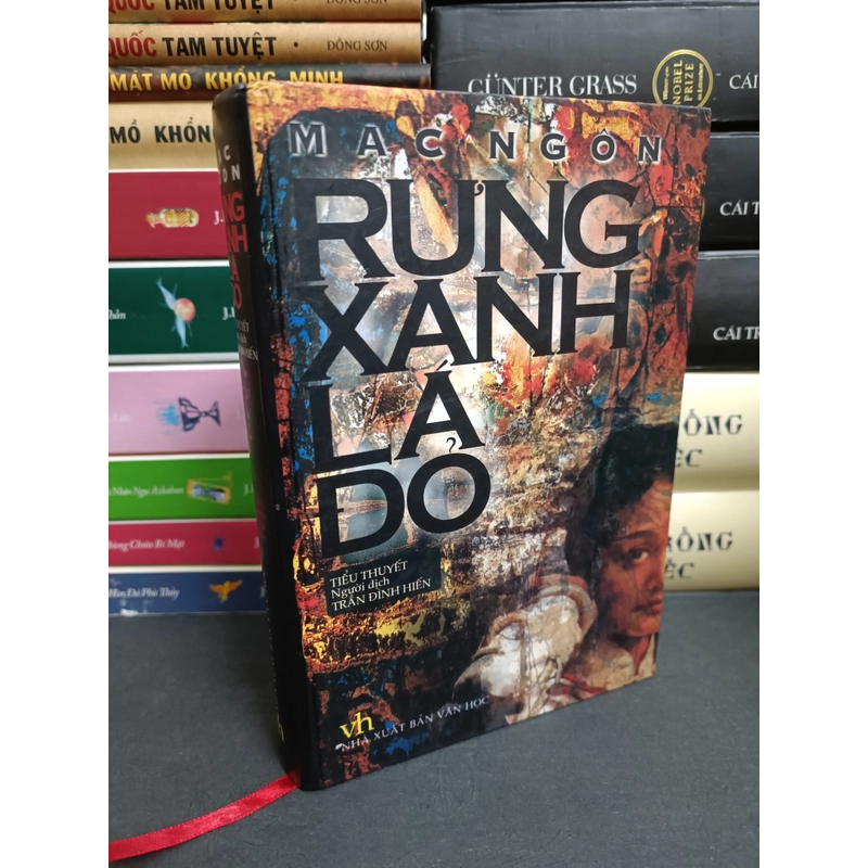 Rừng xanh lá đỏ 474088