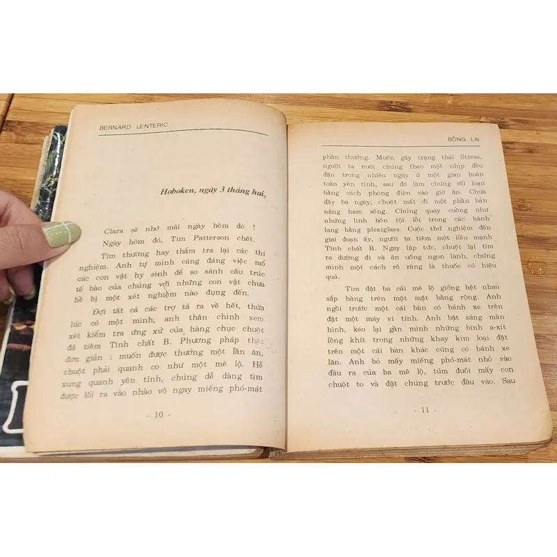 Trọn bộ 2q tiểu thuyết BỒNG LAI - tác giả Bernard Lenteric 703850