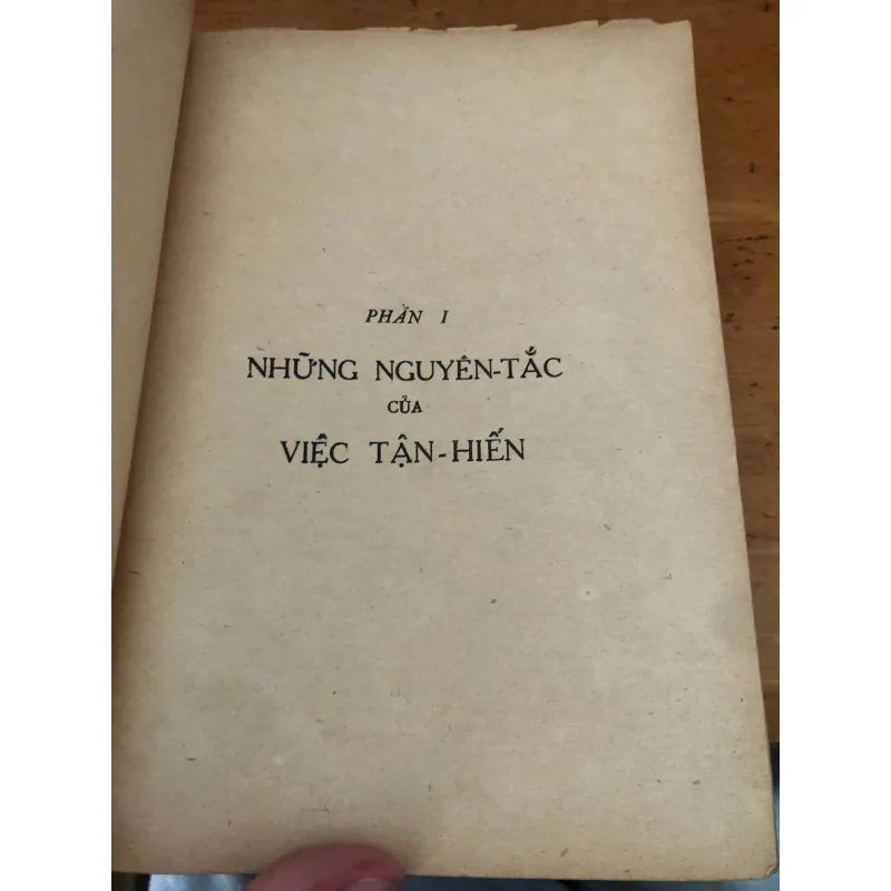 Đời Tận Hiến 1028154