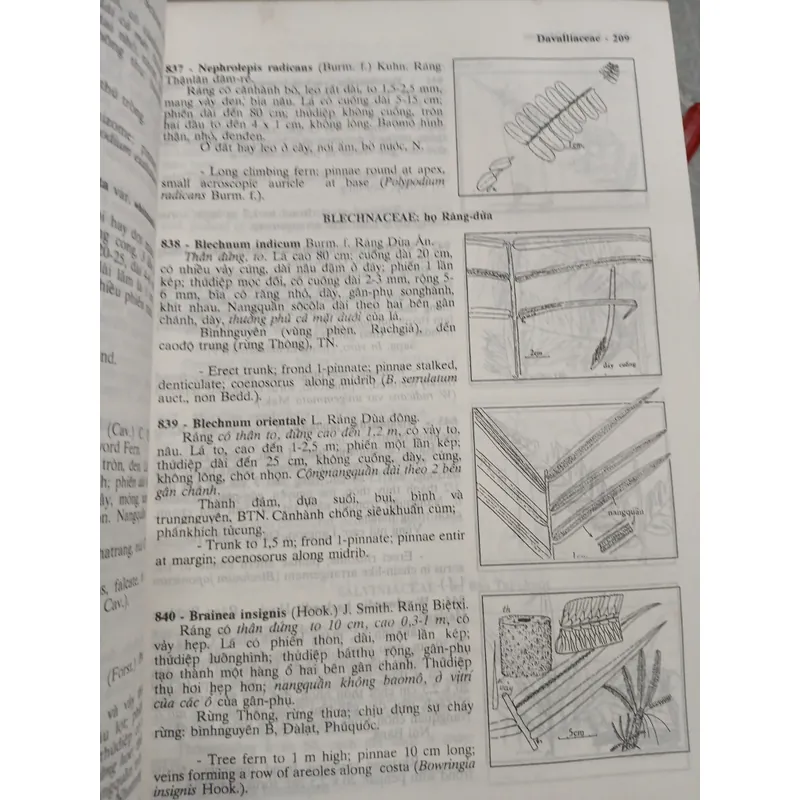 CÂY CỎ VIỆT NAM (QUYỂN I, II, III) - PHẠM HOÀNG HỘ 740112