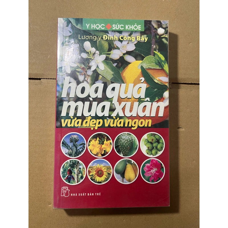 Hoa Quả Mùa Xuân 528298