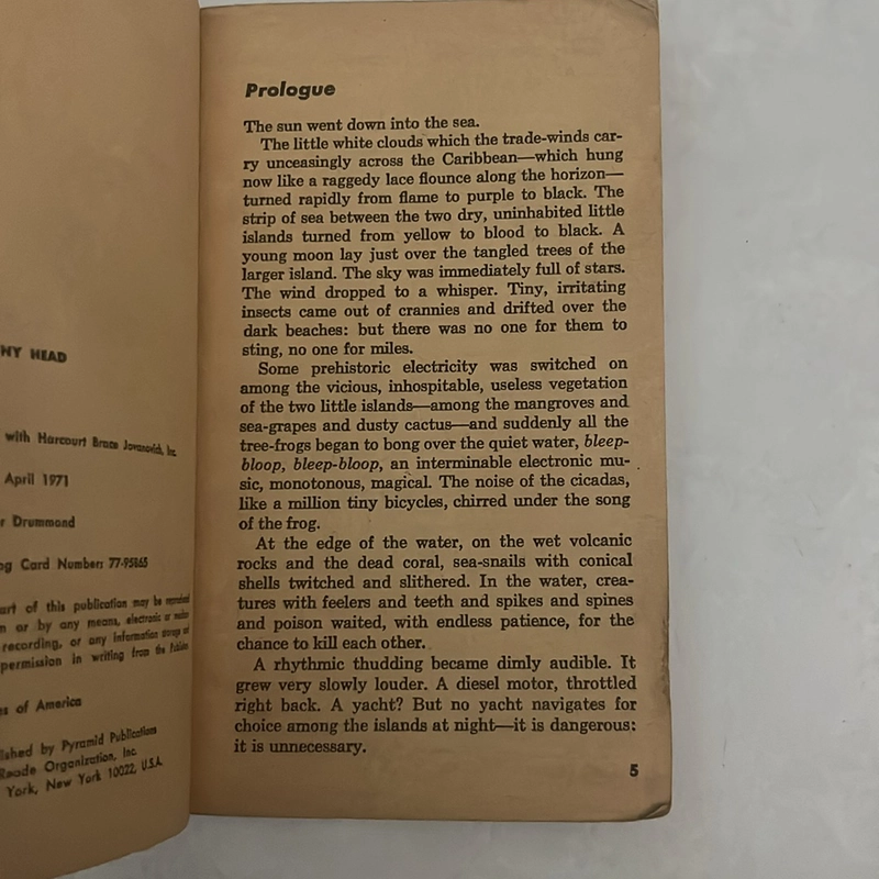 The man with the tiny head (Ngoại văn) 502100
