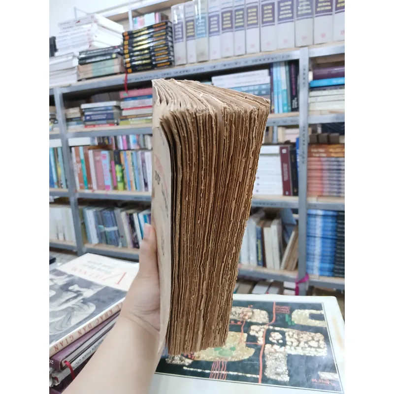 VIỆT NAM SỬ LƯỢC - TRẦN TRỌNG KIM  729390