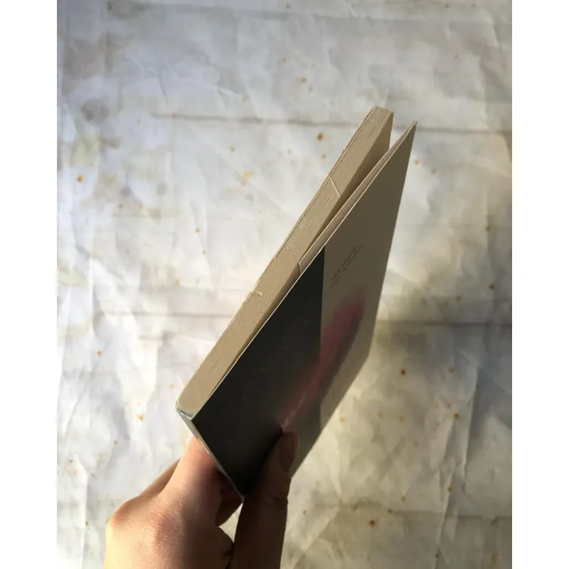 Ngày 210 - Natsume Soseki 736265