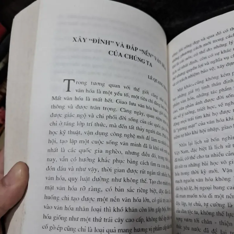 Những vấn đề văn hóa Việt Nam hiện đại 1000903
