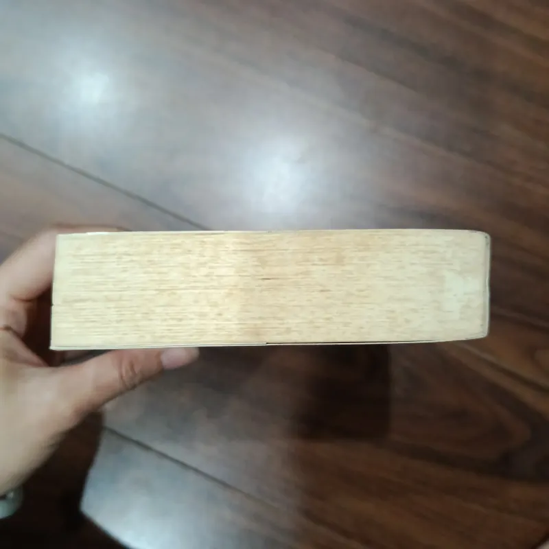 Ốc sên chạy 935294