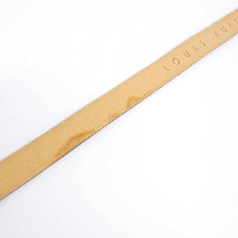 Túi đeo hông Louis Vuitton Monogram Pochette Florentine XS M51855+M67303 608406