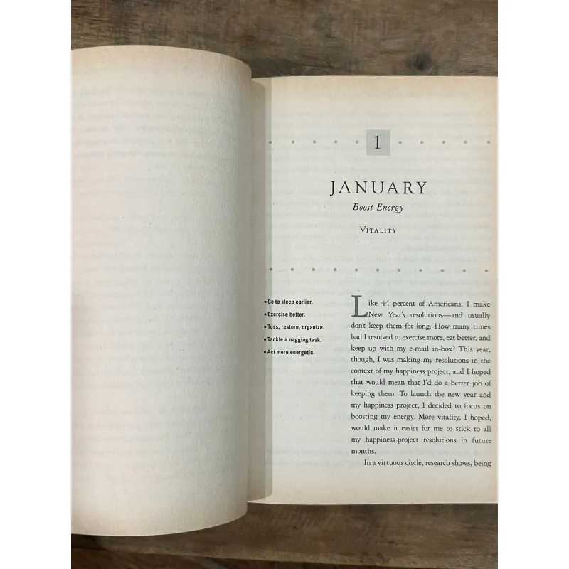 The Happiness Project - Gretchen Rubin 722889