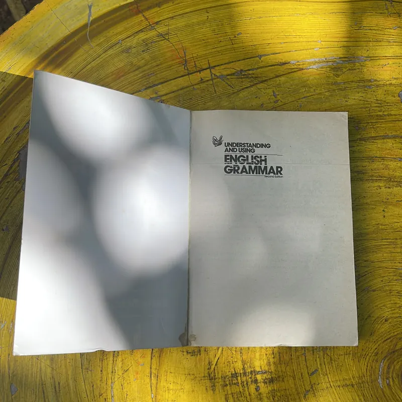 UNDERSTANDING AND USING ENGLISH GRAMMAR  736791