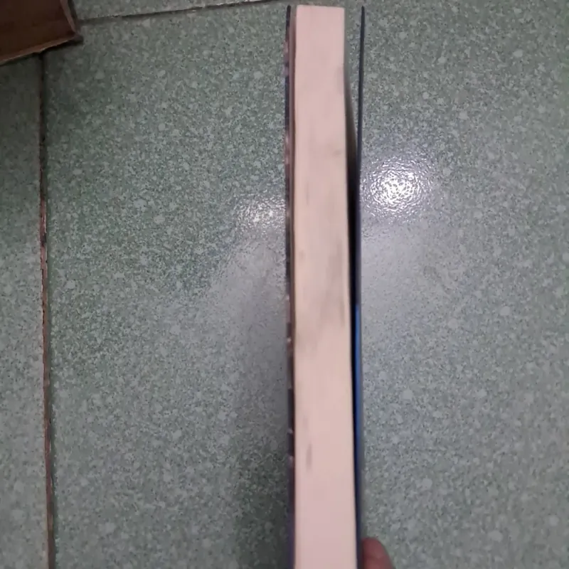 Harry Potter và hòn đá phù thủy 1021874