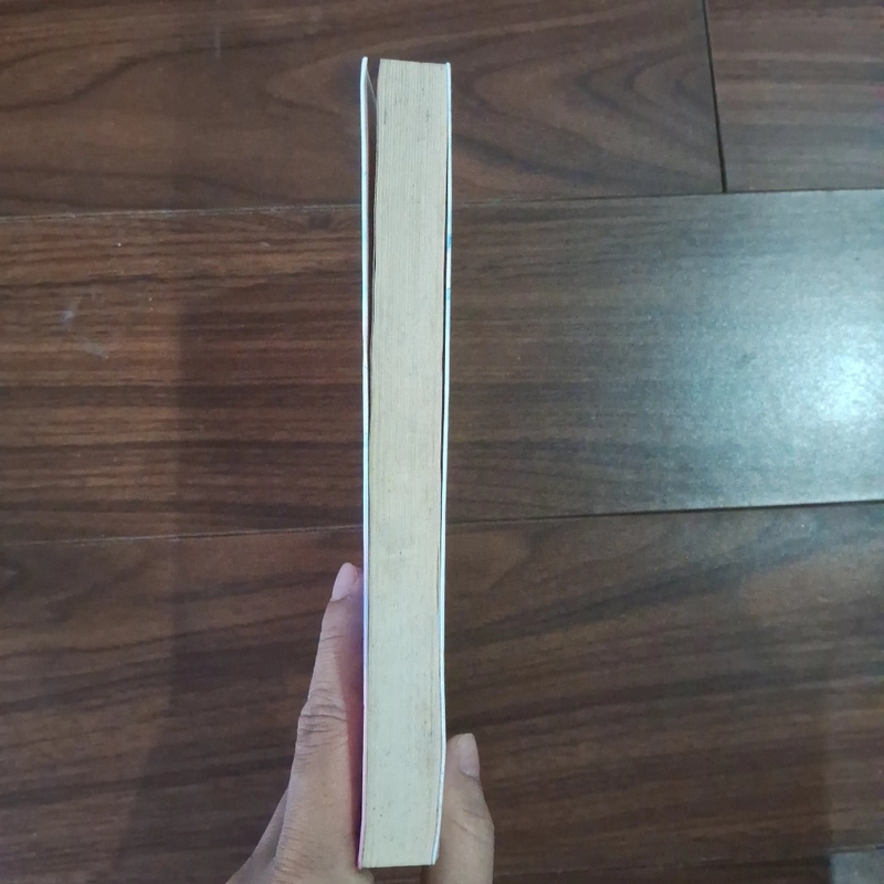 Nụ hôn thần tượng 508858