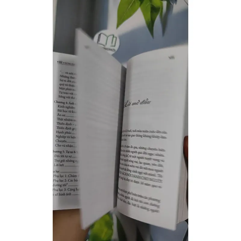 Đứng Dậy Và Bước Đi - Nguyễn Hướng Dương 798435