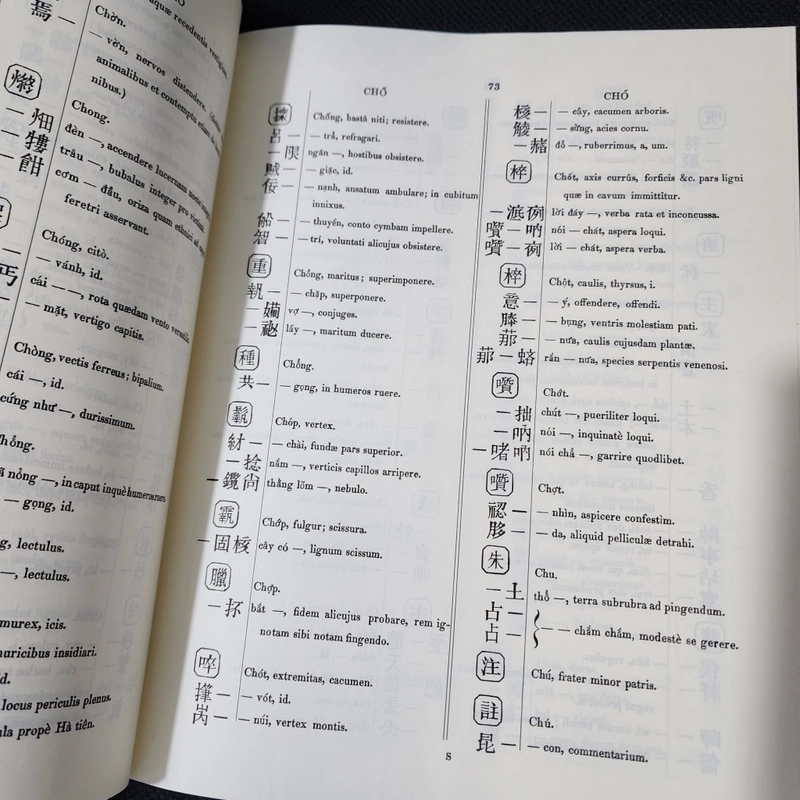 DICTIONARIUM ANAMITICO LATINUM | J.L.Taberd 500141
