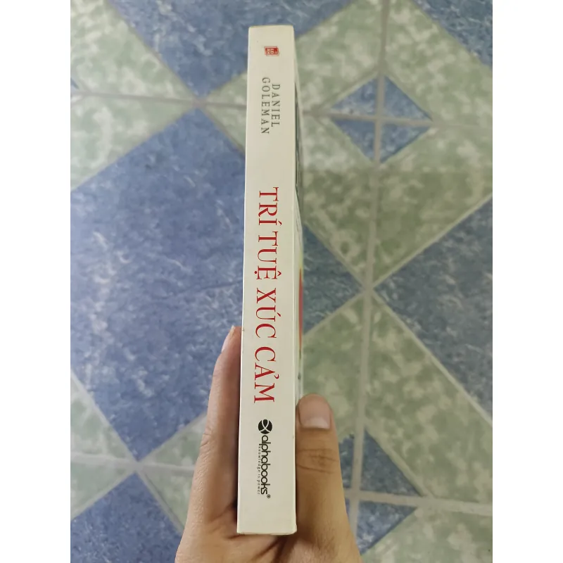 Trí tuệ xúc cảm - Daniel Goleman 712499