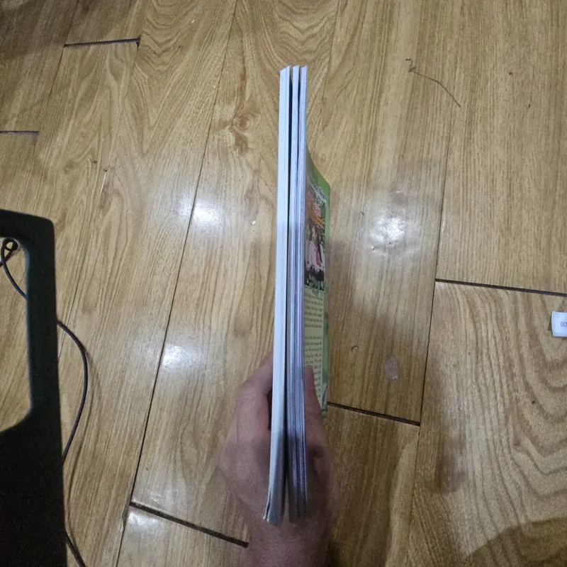 3q Văn học và tuổi trẻ không trùng như hình 
20k 730356