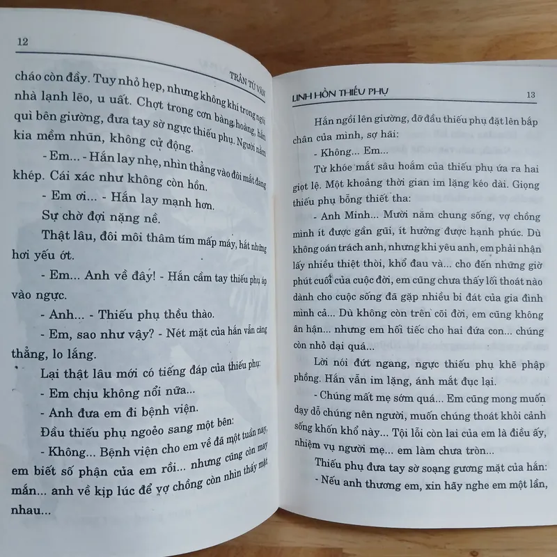 Tiểu Thuyết Linh Hồn Thiếu Phụ - Trần Tử Văn 603831