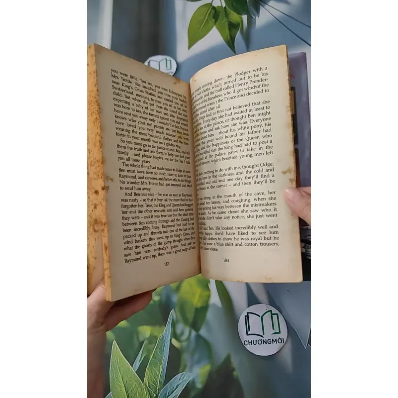 [XƯA] The Secret of Platform 13 (1994) - Eva Ibbotson 1033598