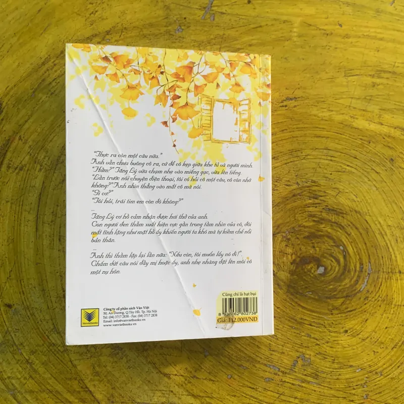 CŨNG CHỈ LÀ HẠT BỤI - MỘC PHÙ SINH  991253