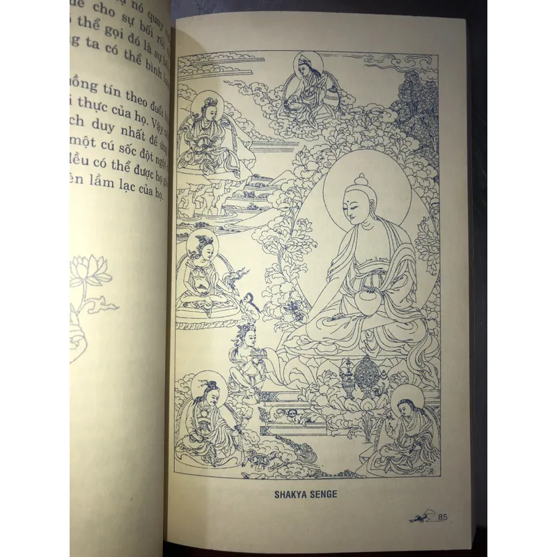 Trí huệ mê cuồng  714027